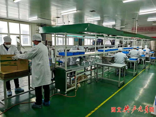 把车间当战场 抗疫保供河北深思在行动